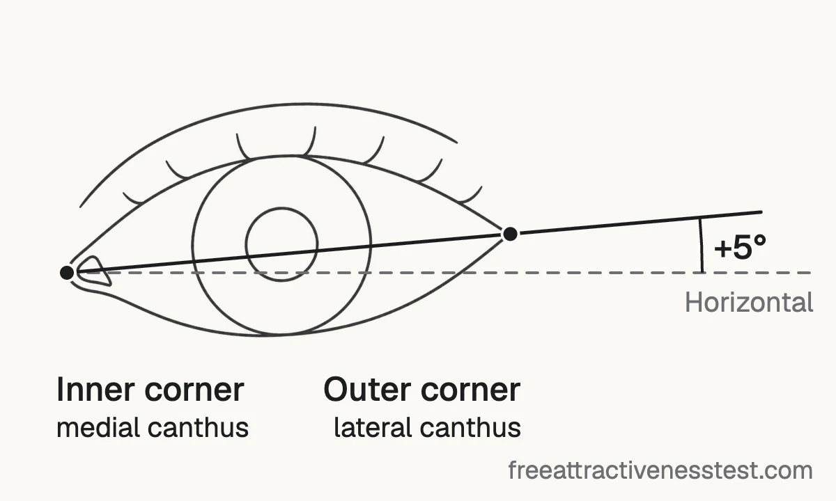 Diagram of how canthal tilt is measured: a line from the inner to the outer eye corner, and its angle above a horizontal line through the inner corner.